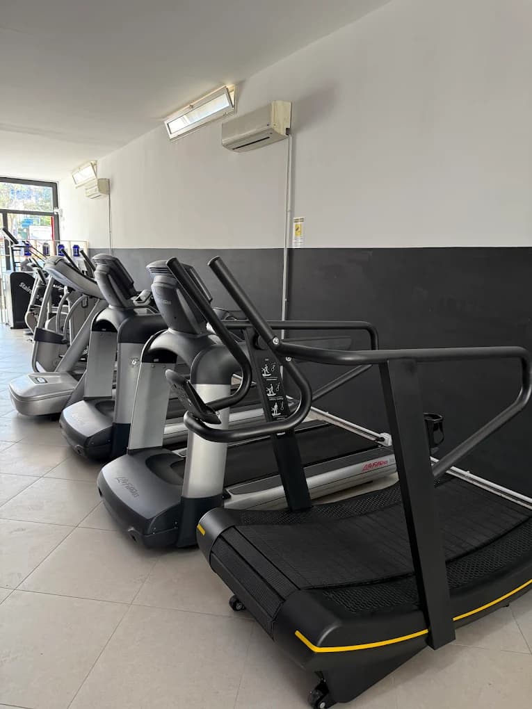 La zona cardio Life Fitness